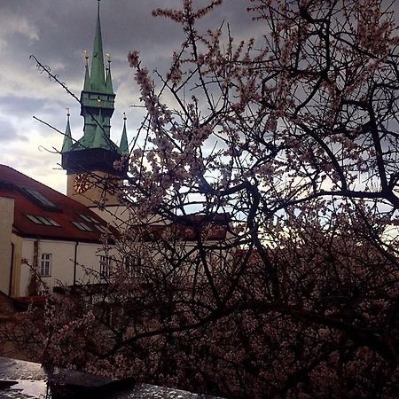 Althansky Palac Hotel Znojmo Eksteriør billede