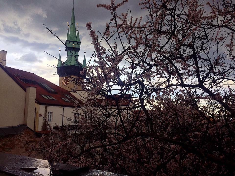 Althansky Palac Hotel Znojmo Eksteriør billede